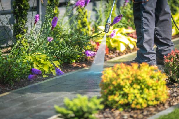 Best House Exterior Washing  in Whitaker, PA